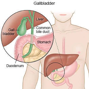 Gallbladder