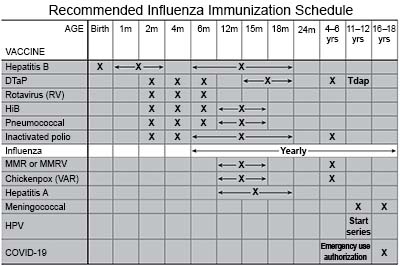 Recommended Influenza Immunization Schedule
